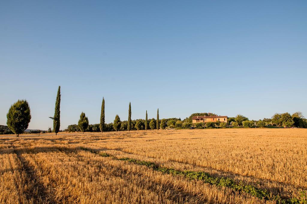 Agriturismo Il Tiro Castel del Piano  ภายนอก รูปภาพ