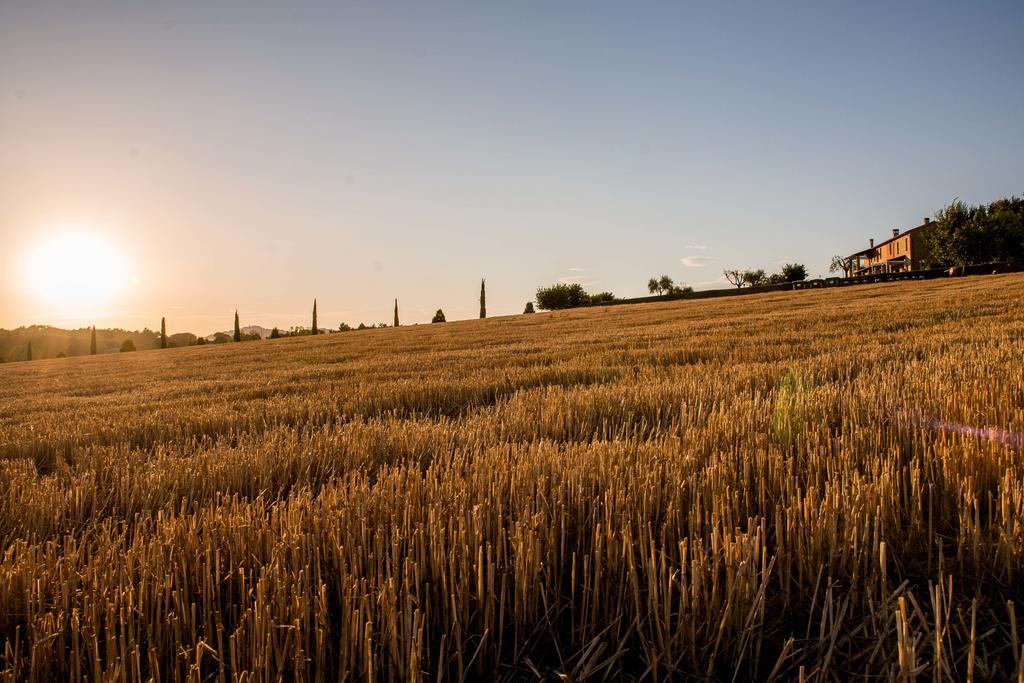 Agriturismo Il Tiro Castel del Piano  ภายนอก รูปภาพ